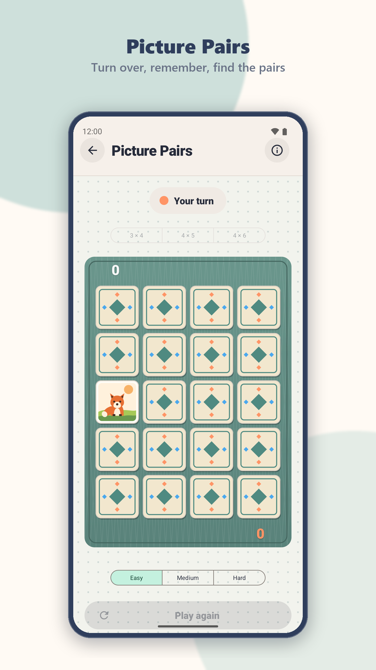 Picture Pairs